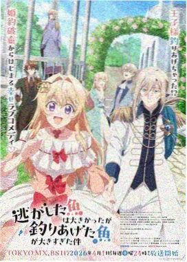 星轨回声动画封面